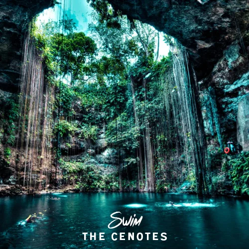  Tulum Time: Life on a luxury camp and a dive to the Great Mayan Reef 