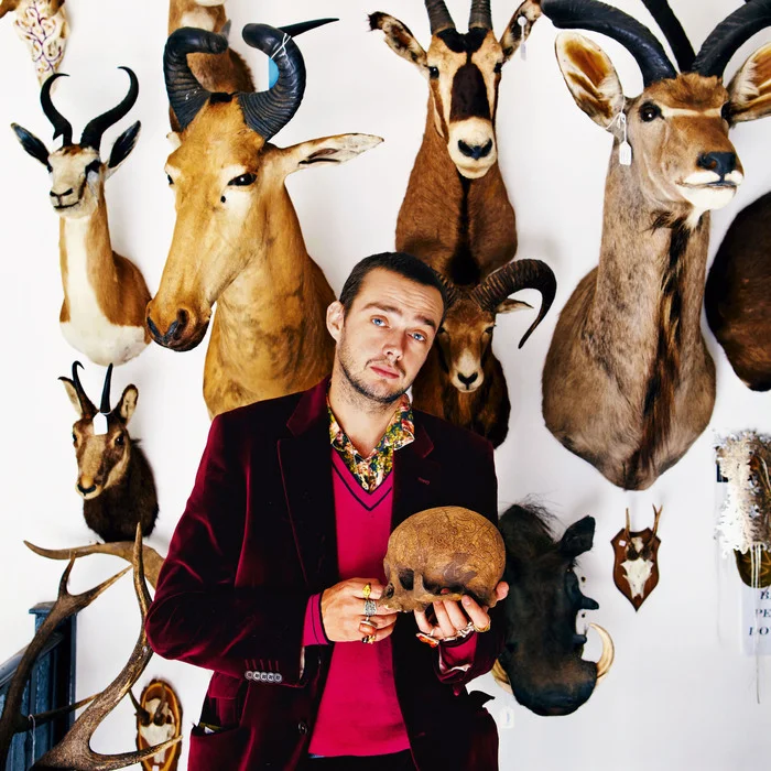 THE LITTLE SHOP OF HORRORS