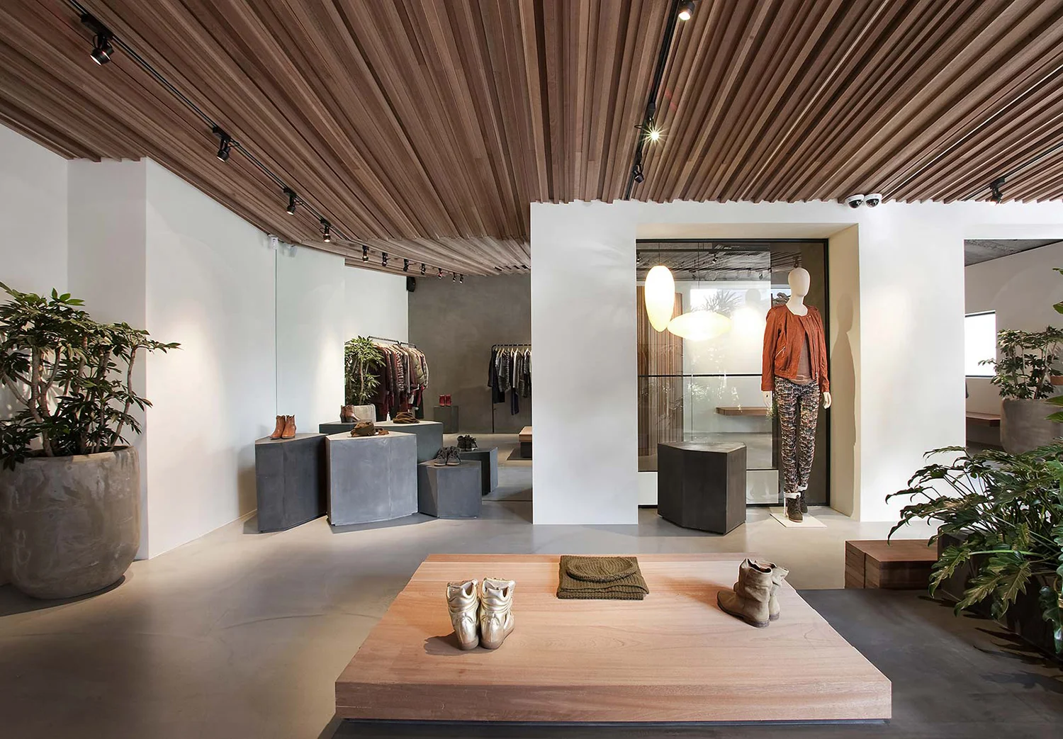 Seoul store || Design: Cigue || Materials: concrete, plaster, sapele wood, steel, and granite || Plants: Ficus umbellata, Monstera, Artcarpus altilis