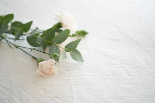 cremation services in Bronx, NY