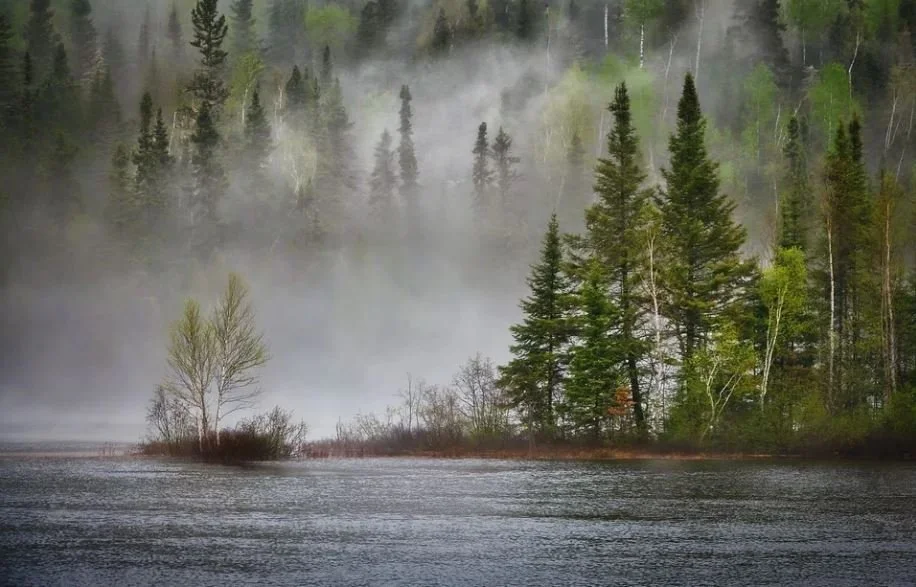 Reasons to Schedule a Private Funeral at a Funeral Home Bronx, NY