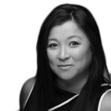 Iris IP project manager