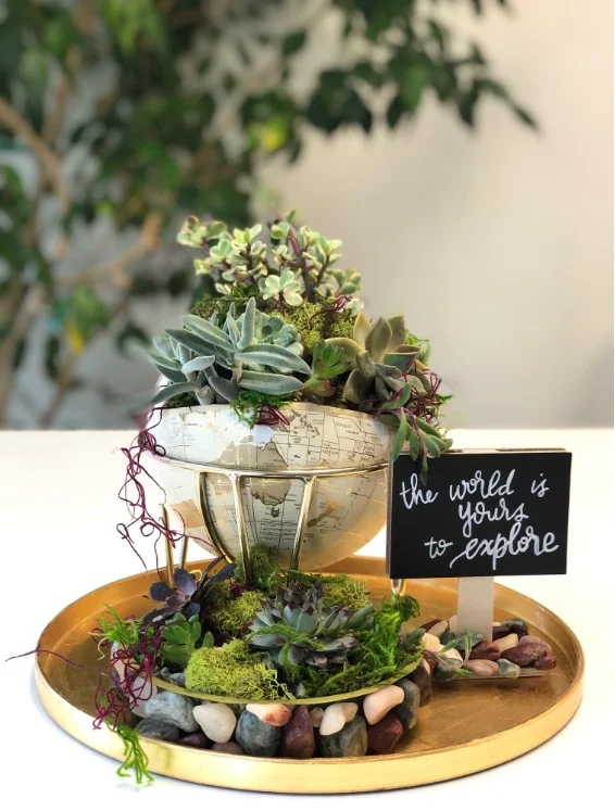MSA’s Terrarium