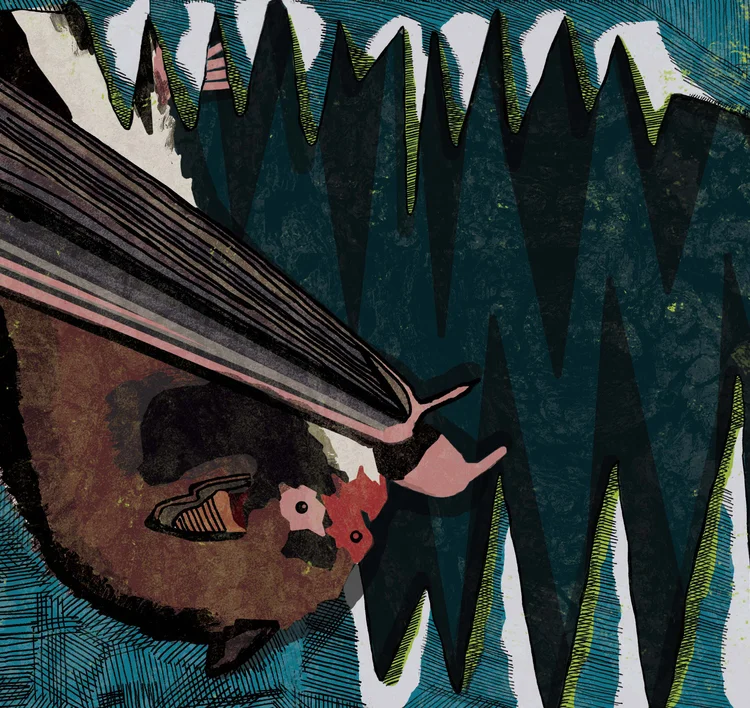 bat.jpg