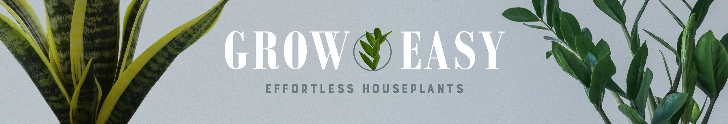 Header-Grow-Easy.jpg