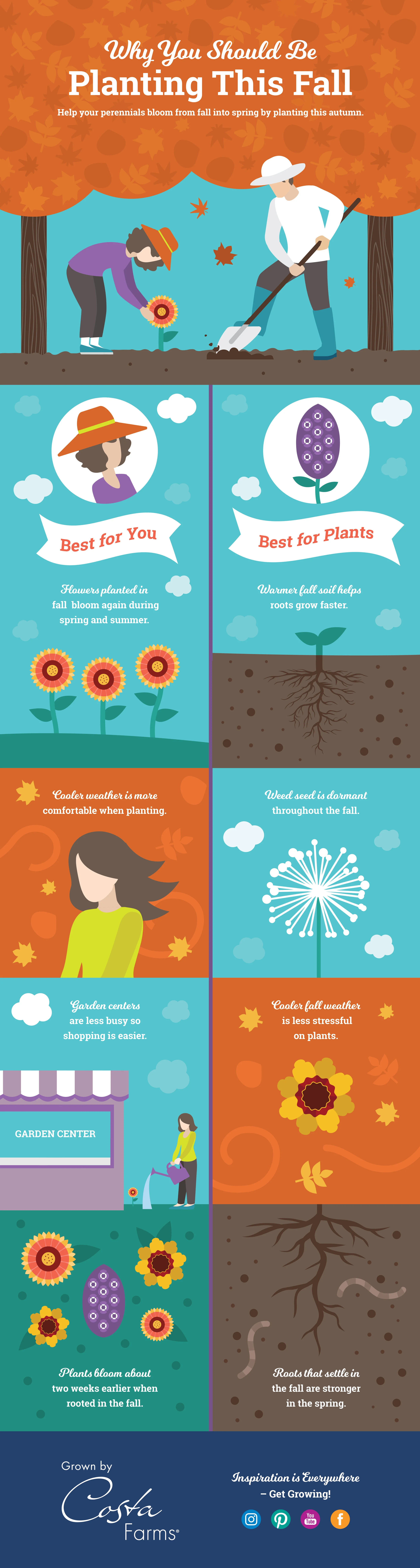 Fall Perennial Infographic2-01.jpg