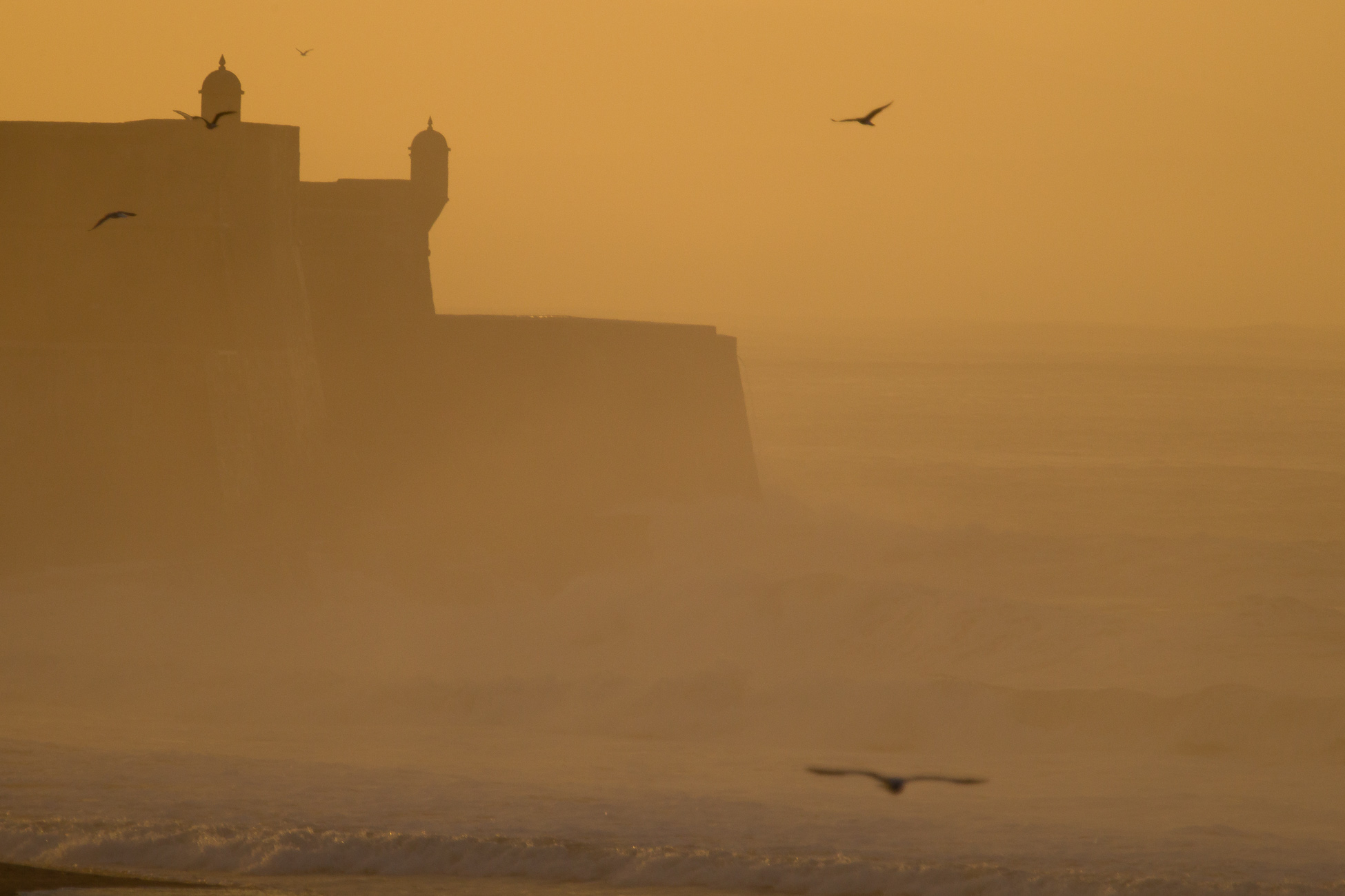 Gonçalo Barriga Photographer - Beach sunrise