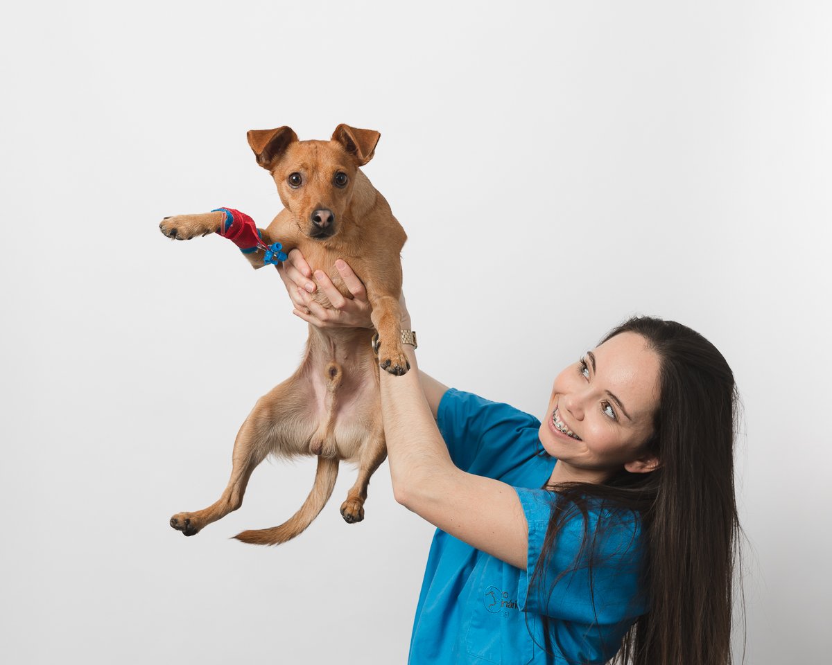  Retrato de estúdio de profissional de saúde animal 