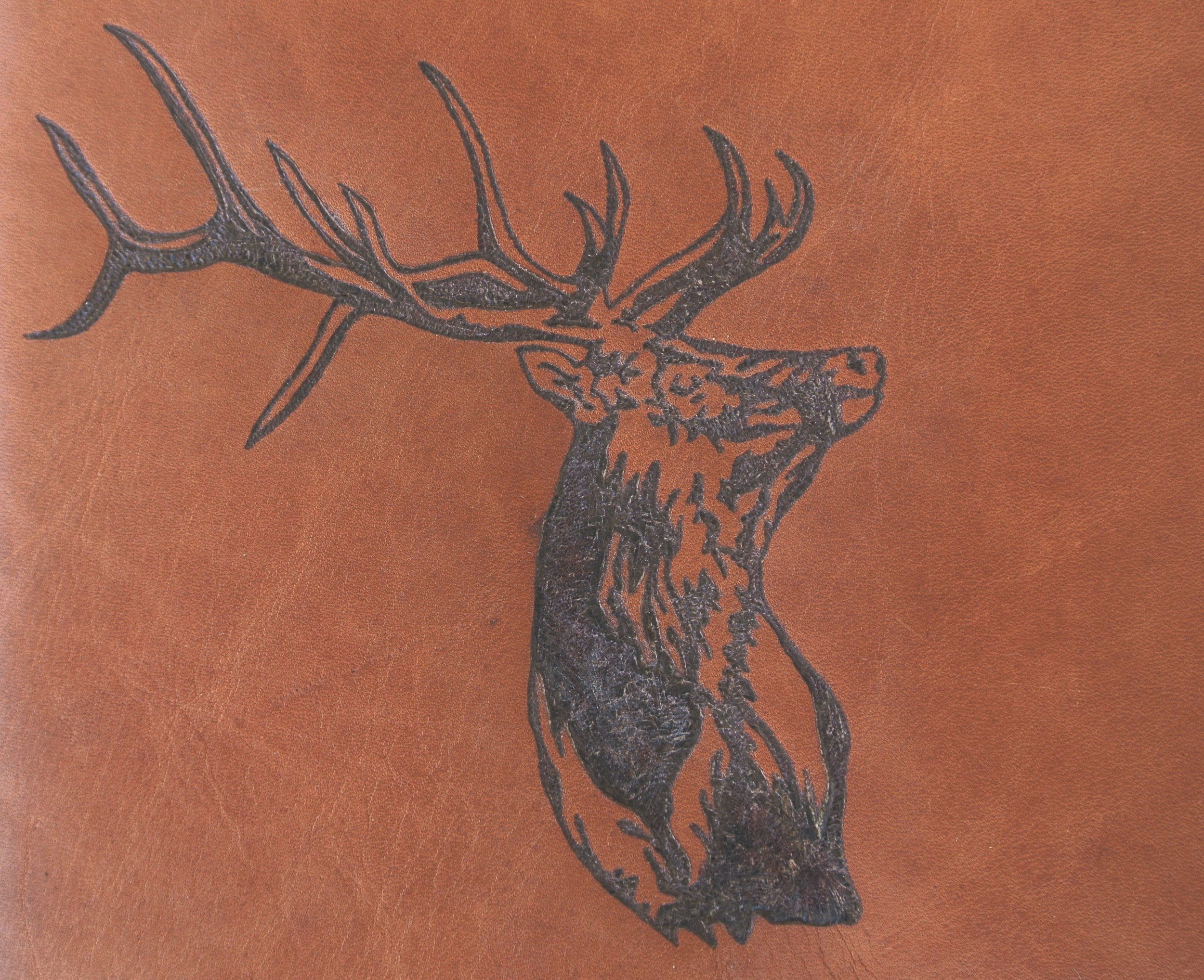 Circle M-Brand heat engraving Elk.JPG