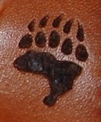 Circle M-Brand heat engraving Bear Paw.JPG