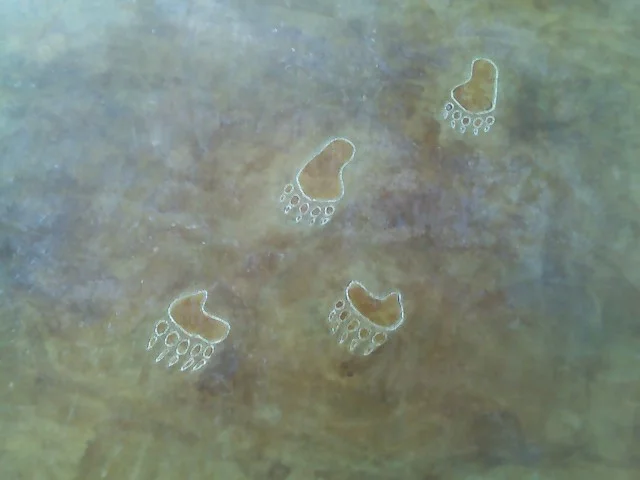 Circle M-Brand Paws.jpg