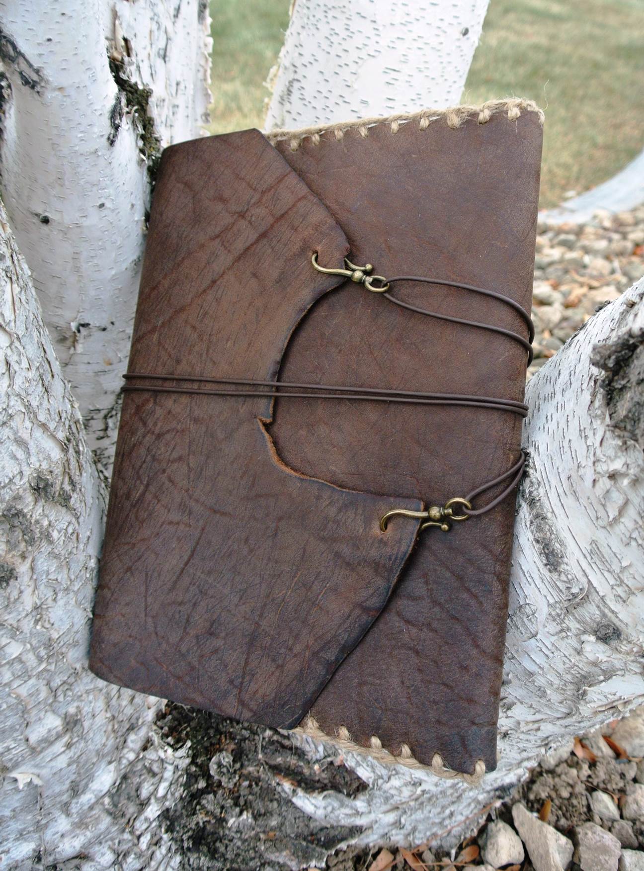 Circle M Brand - book cover.jpg