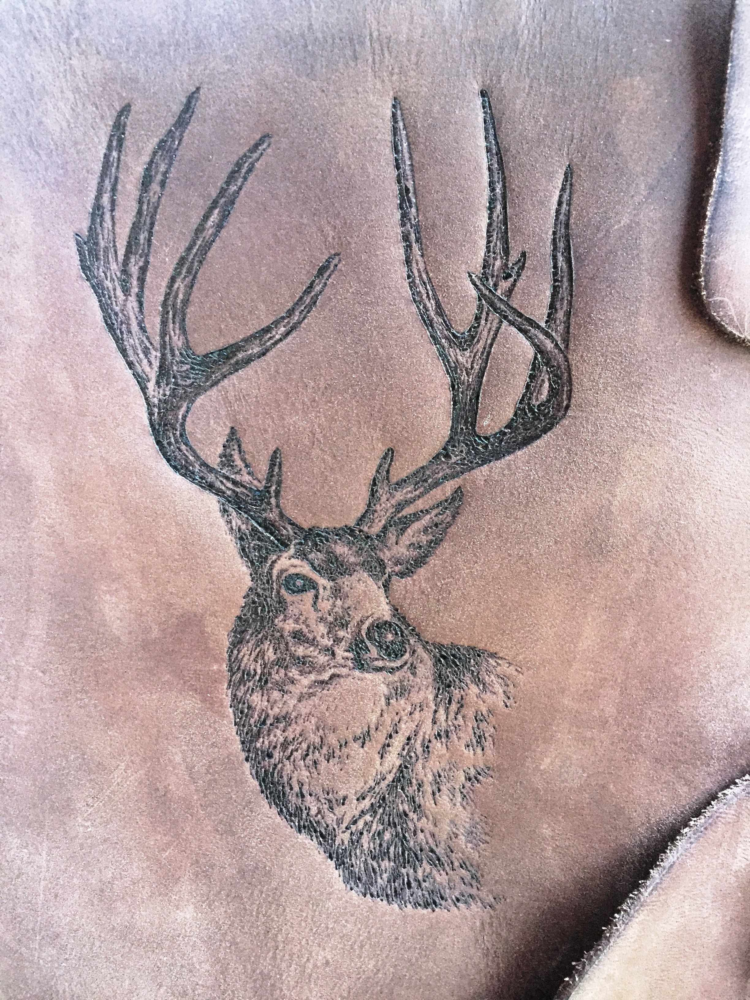 Circle M Brand - Elk engraving.JPG