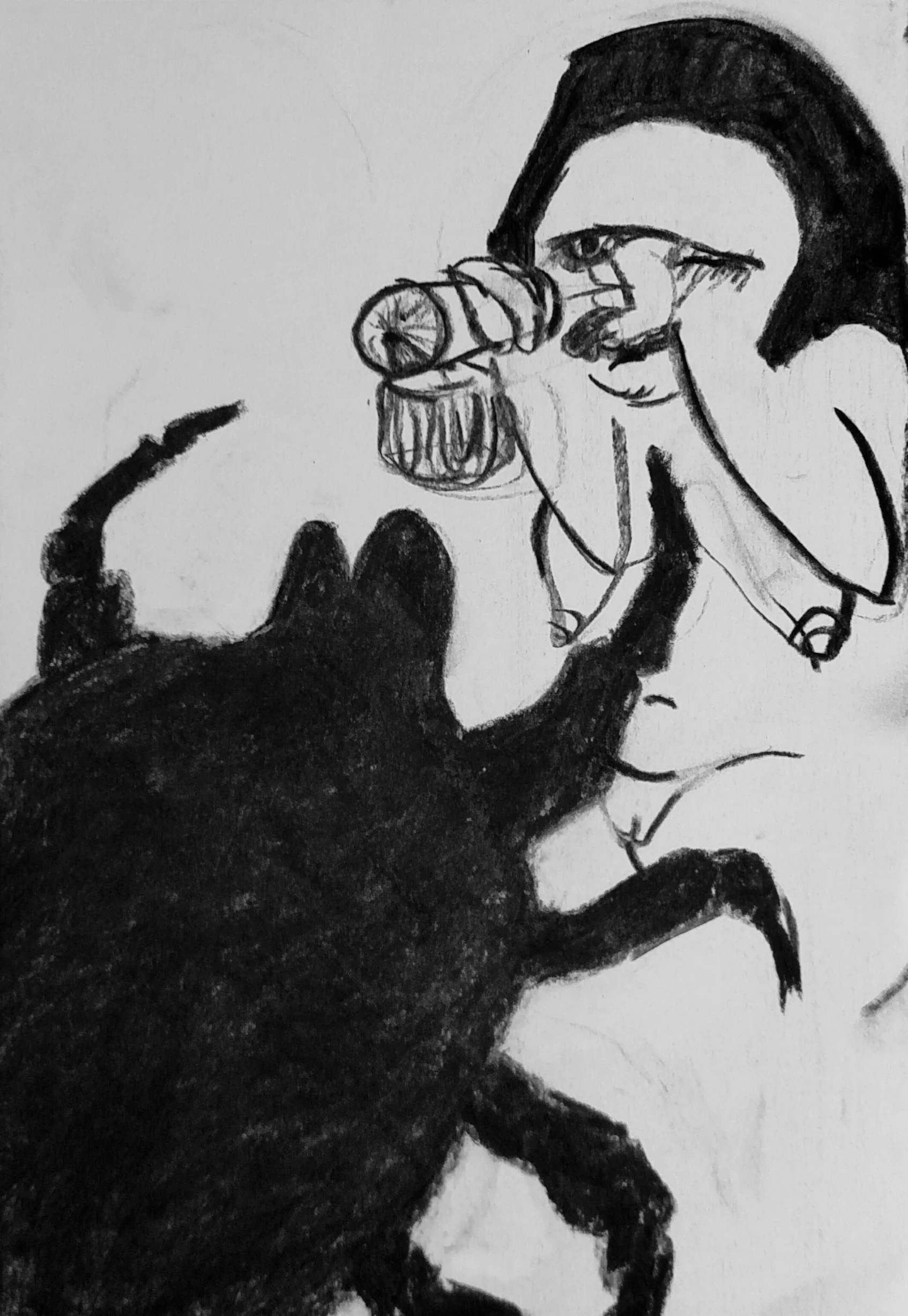 Tick Magnet