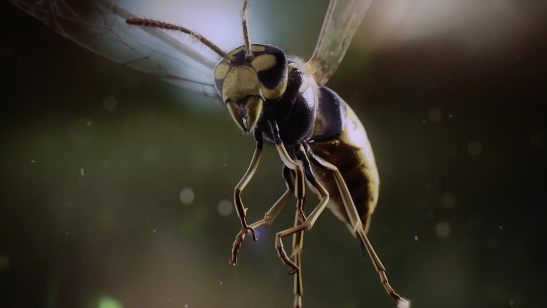 wasp_.jpg