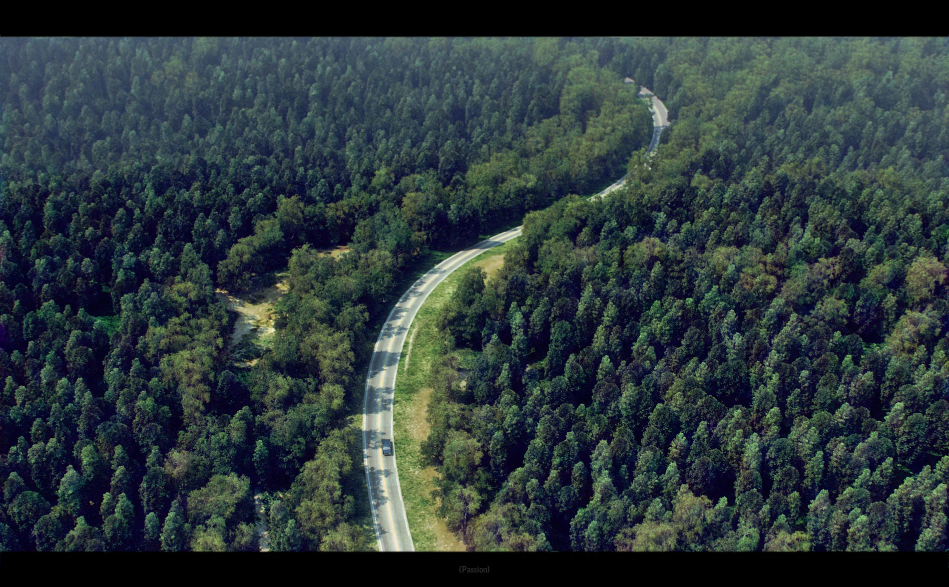 Woods_2_colors.jpg