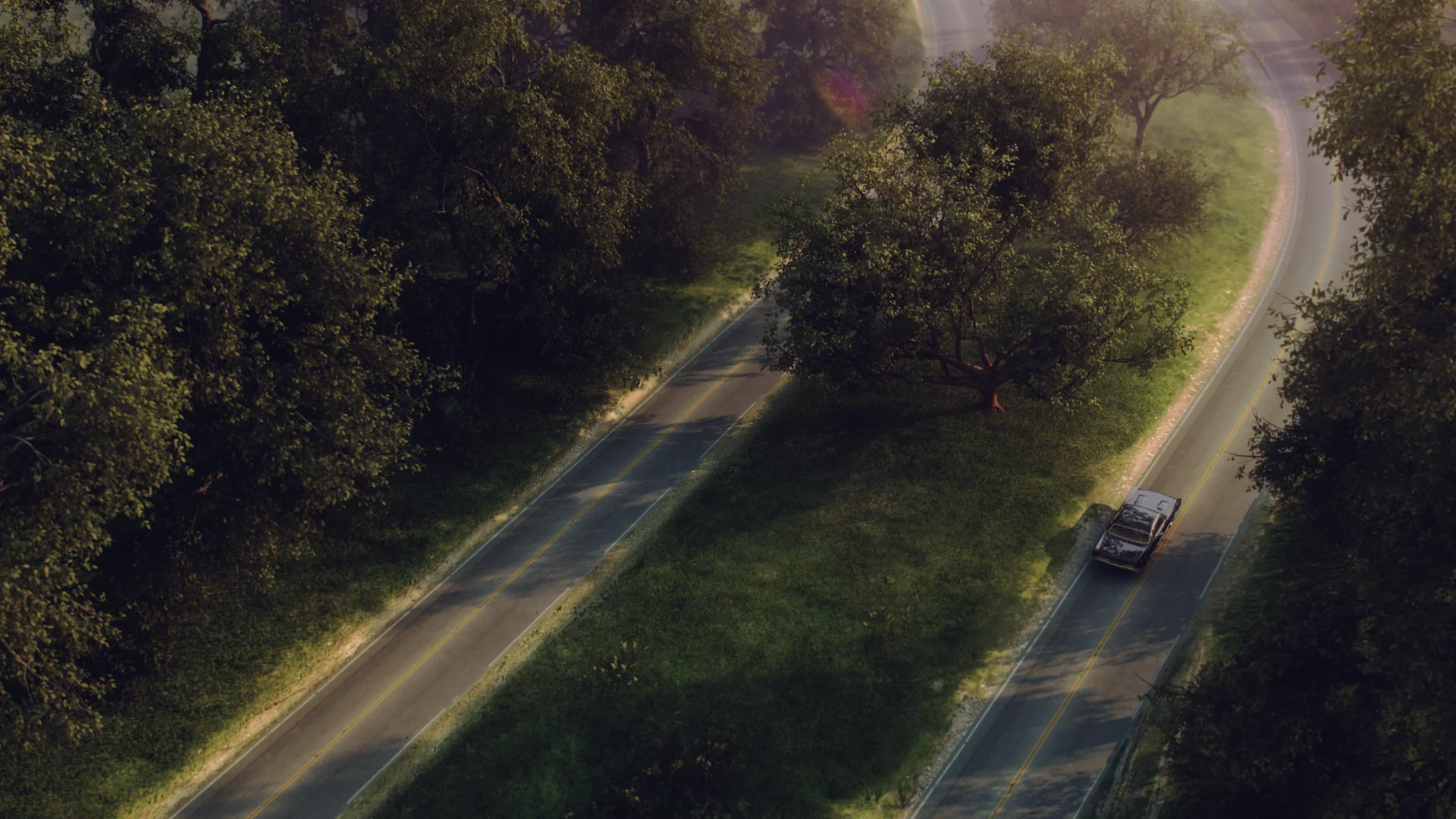 wood_2 (0-00-00-00).jpg