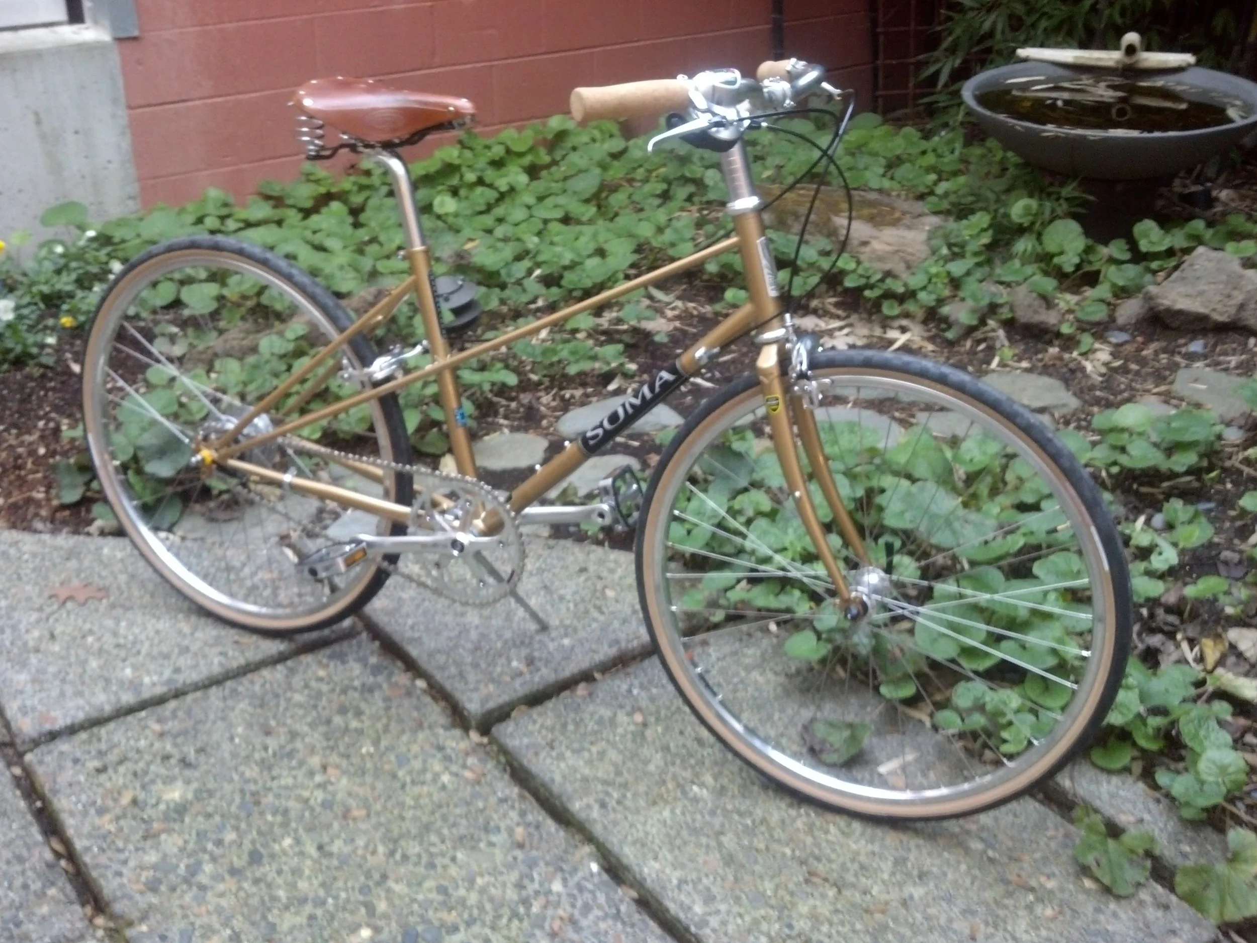 goldie 1.jpg