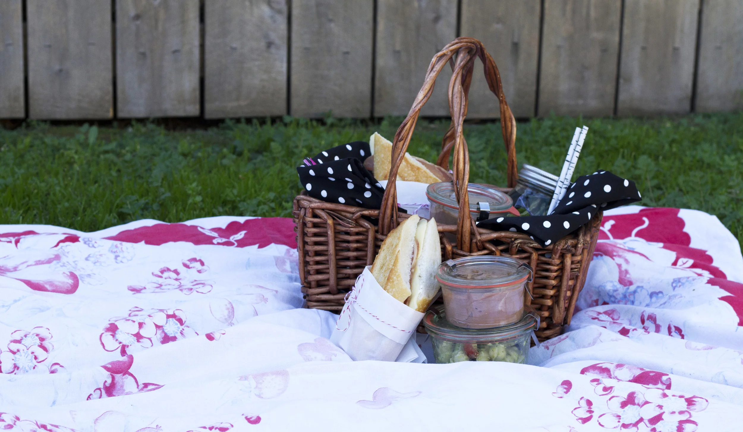 picnic on grass long.jpg