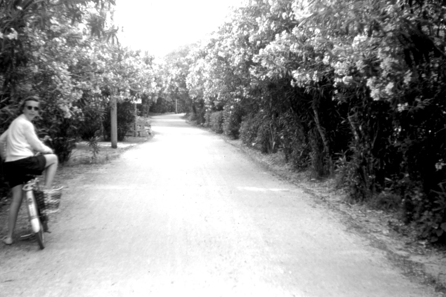 de Garmo334 - Version 2.jpg
