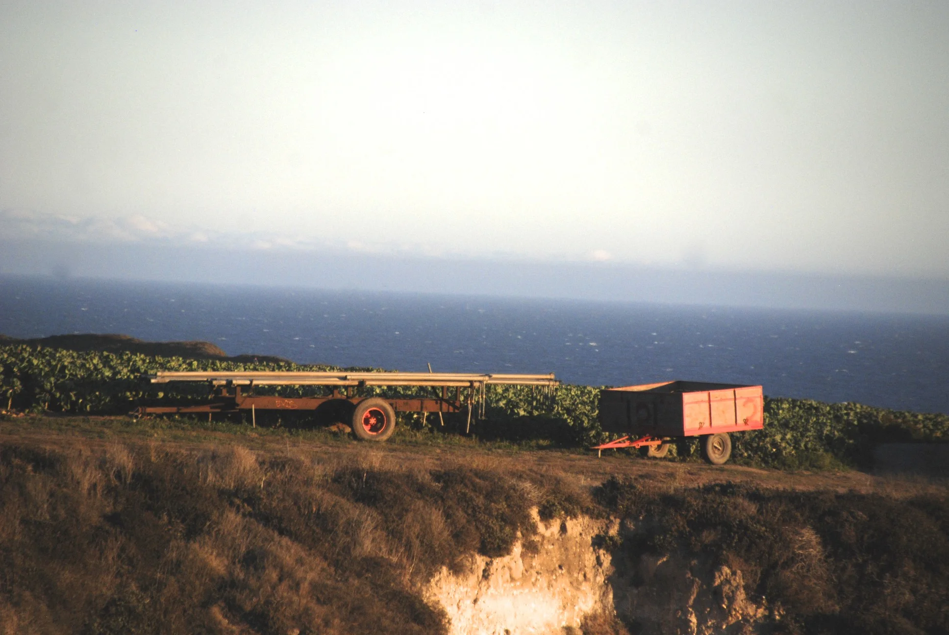 DSC_0001 - Version 2.jpg