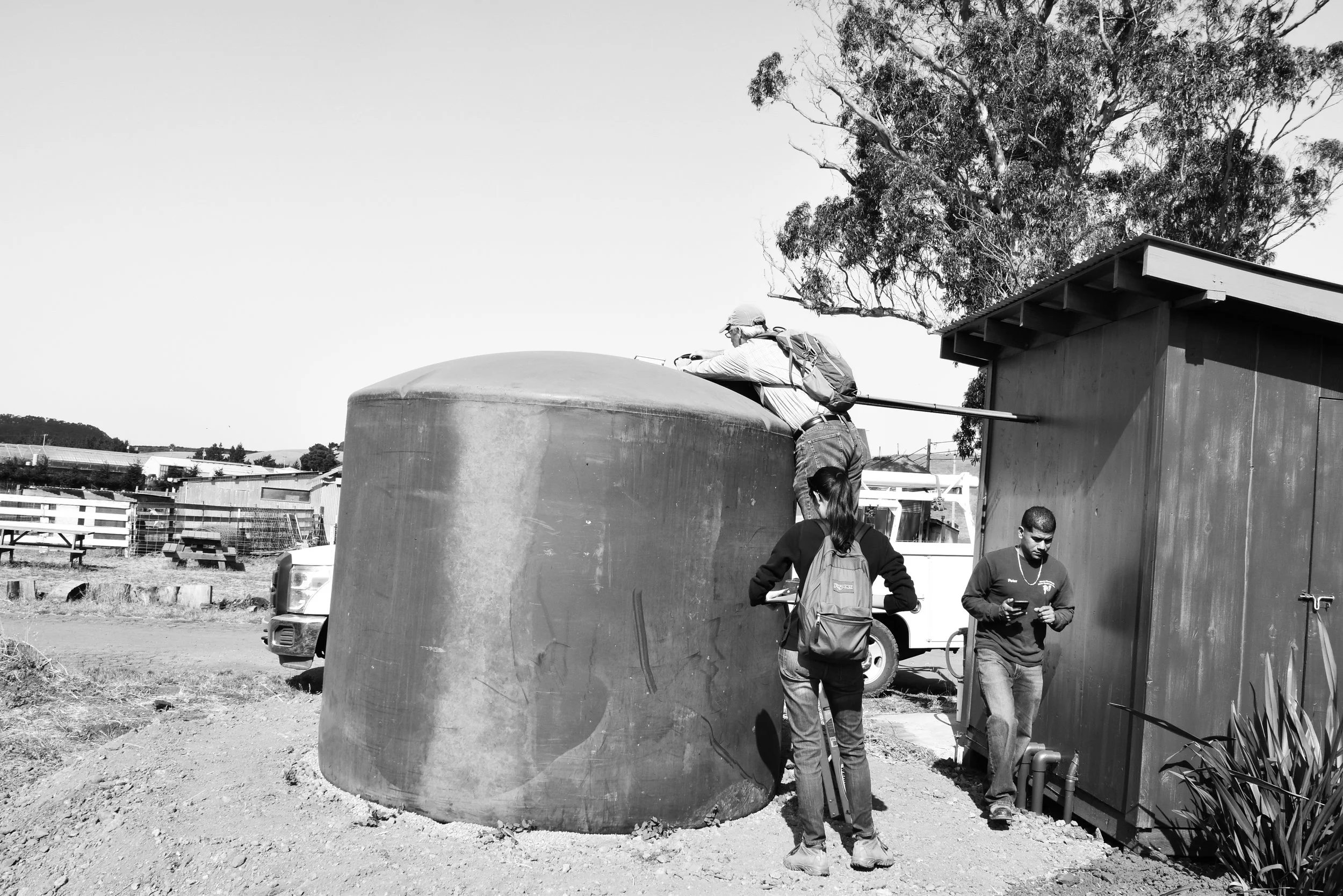 After checking the mechanics of the well, they are now checking the pumps. Harley Farms passed the inspection, but this was after money and anxiety. This issue of extra expenses for farmers because of new inspections is huge and I found more examples of this which I will discuss further.