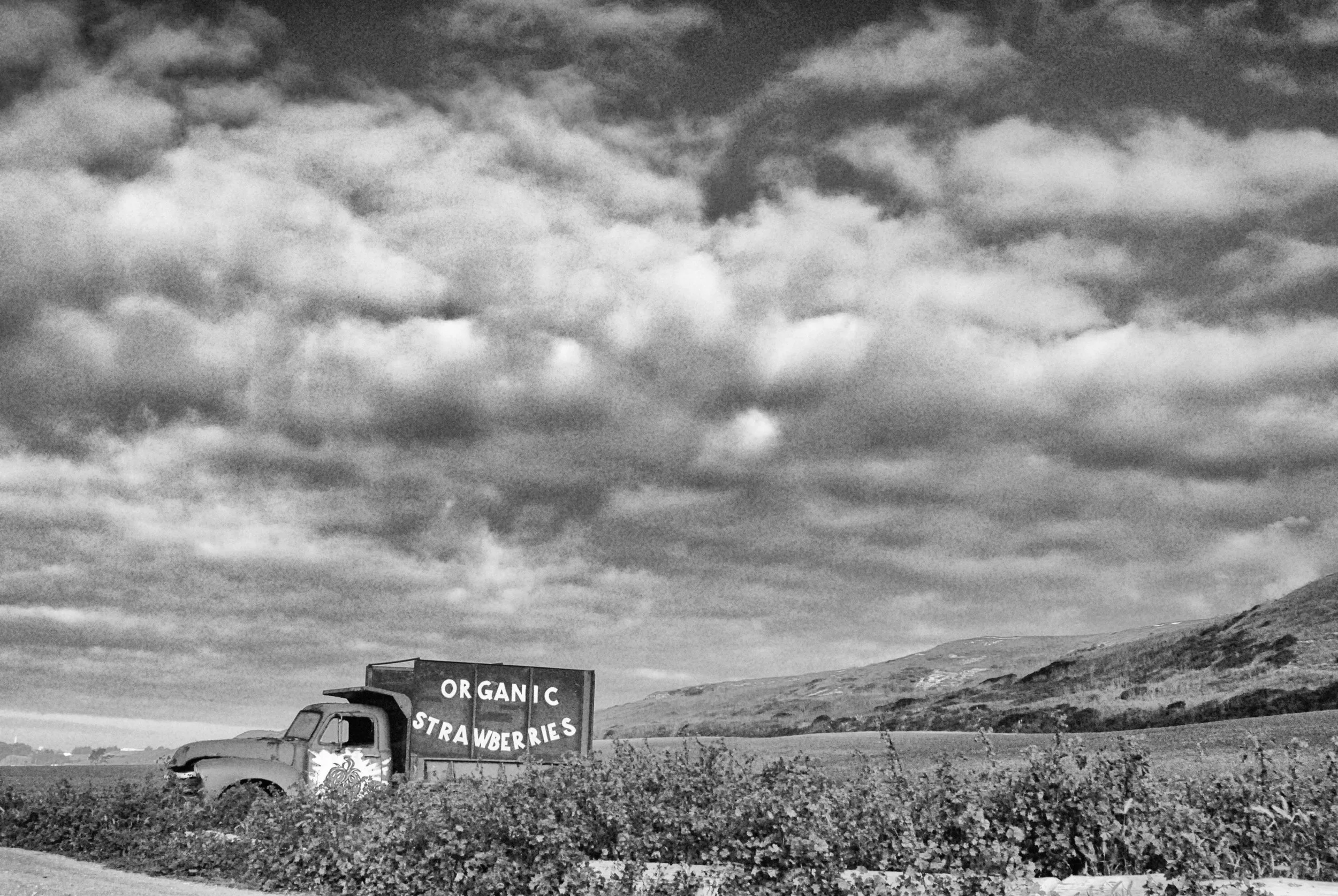 How could anyone believe that these beautiful farms are in such precarious situations?