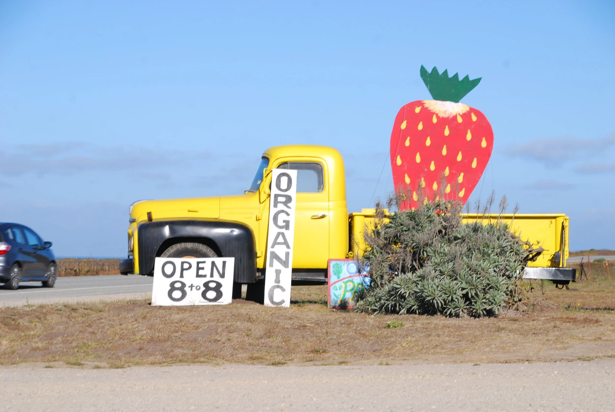 Farmers sell their fruits and vegetables on highway 1.