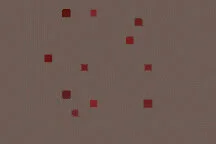 ARIA_TN-layer85.jpg