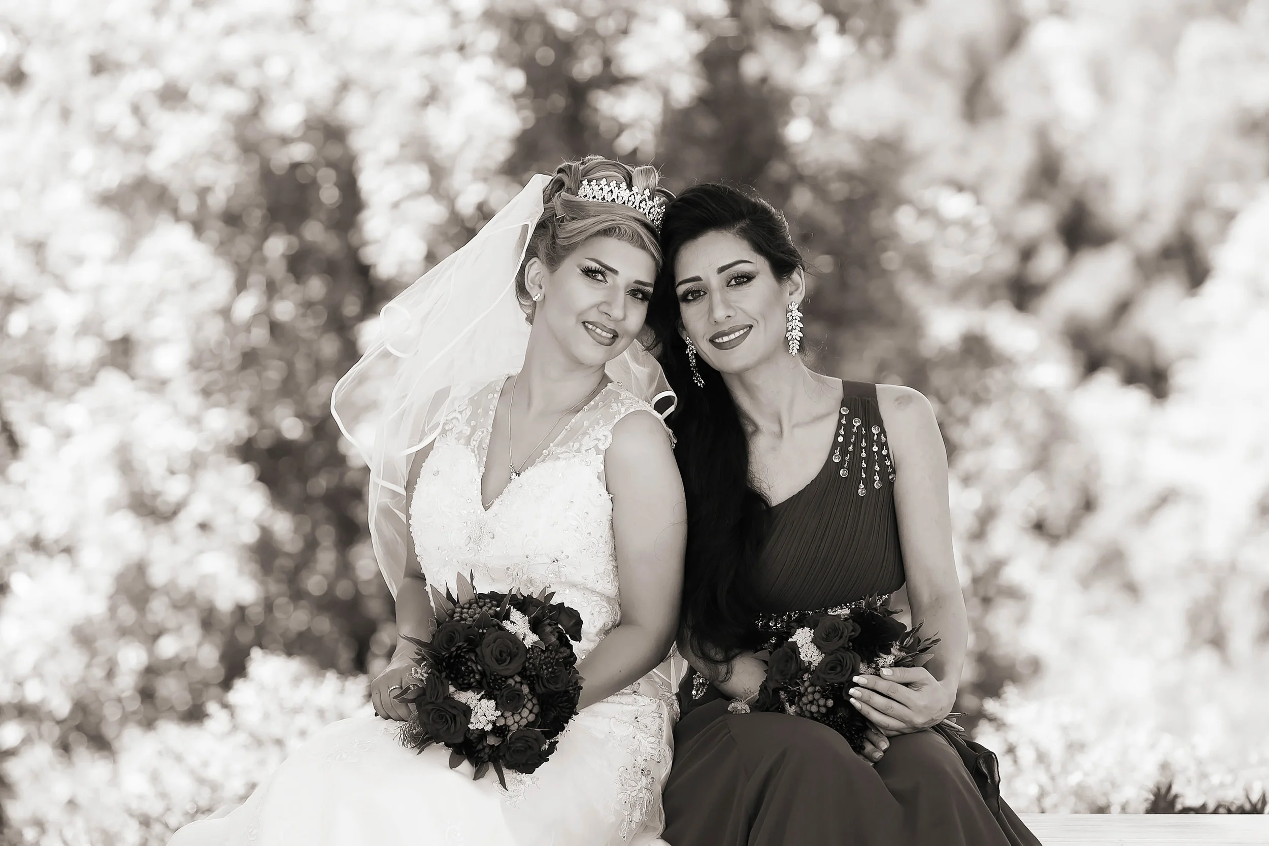 Web Size (372 of 872).jpg