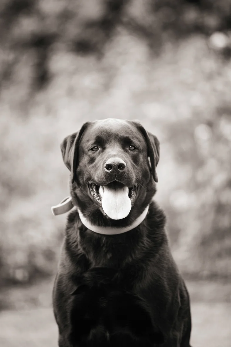 Becs Hawthorne-35-2.jpg