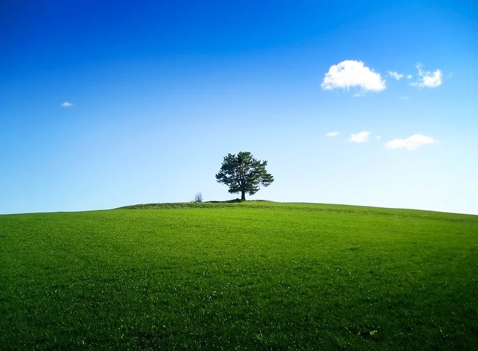 Three Jeffreys for Every Woman