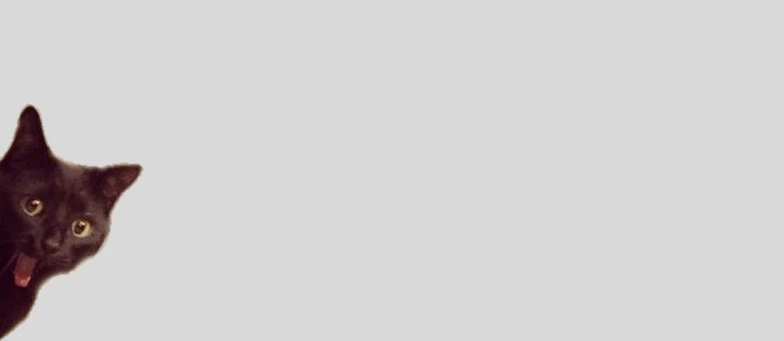 Life as a Start-Up Recruiter: Survey Sneak Peek