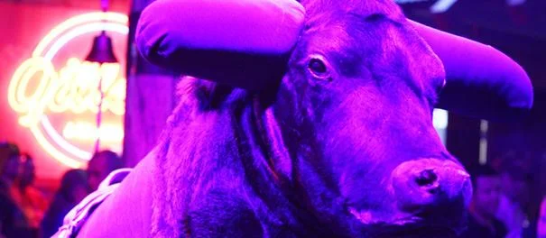 Willing to take a chance on "The Bull"?