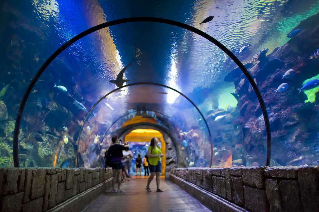 Shark Reef at Mandalay Bay Hotel & Casino Las Vegas