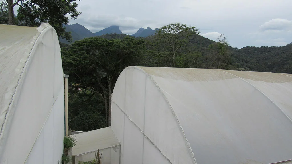 estufa4.jpg