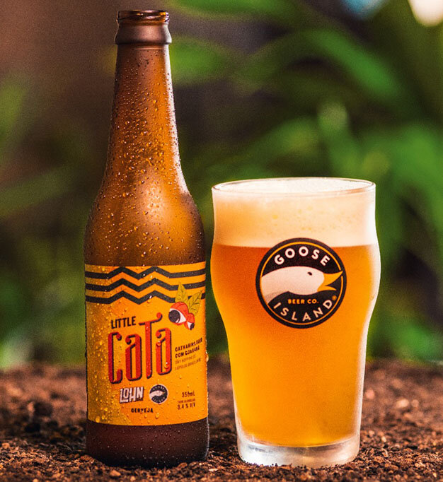 Gelo para cerveja, a nova aposta da Coco Leve — Beer Art - Portal da CERVEJA