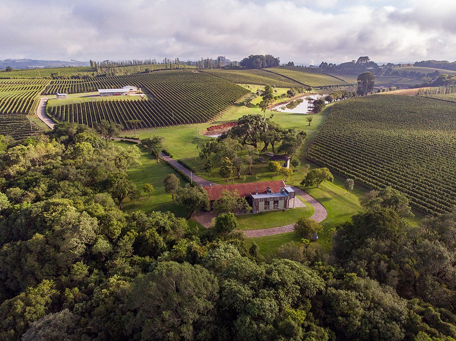 Festival de Vinhos e Assados reúne centenas de pessoas em Pinto Bandeira -  Portal Leouve