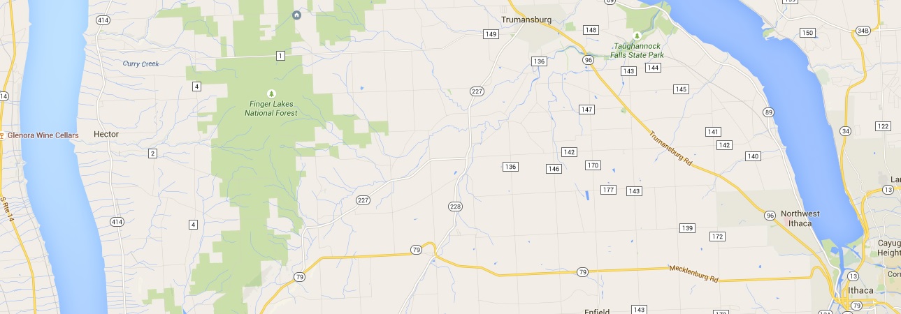 That little "home" icon at the top is me, on the edge of the Finger Lakes National Forest.