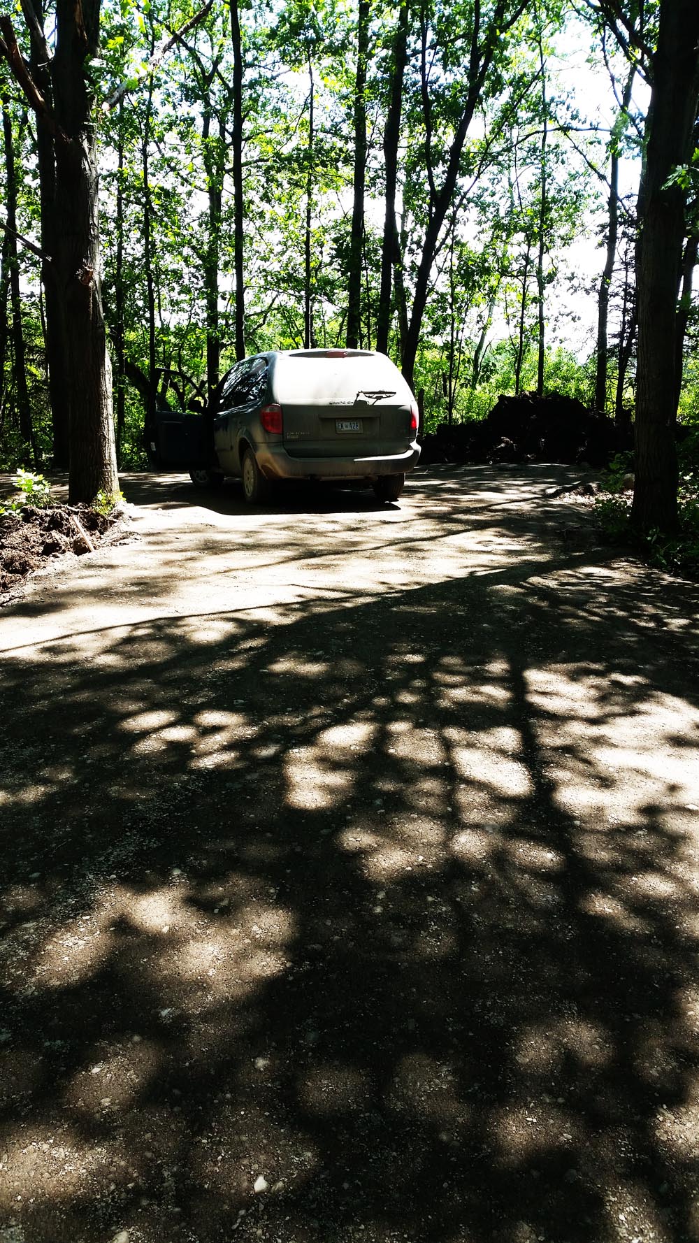Rosy on the road. Also a boring picture. It's a driveway.