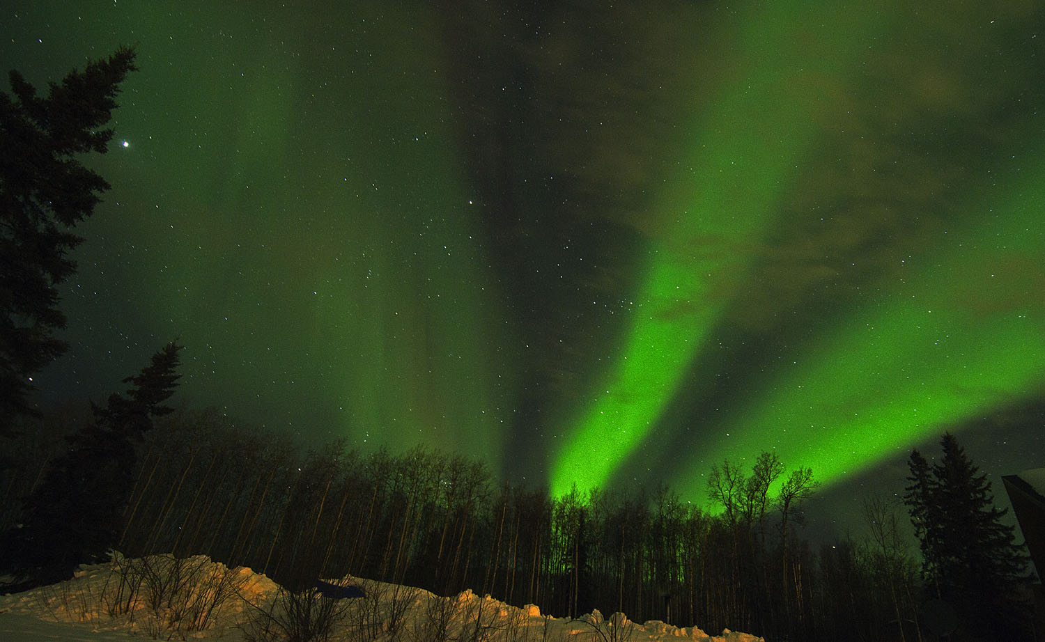 Fairbanks, not Hector.