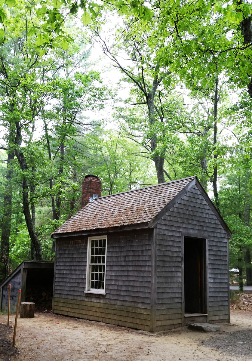Finally, someone with a cabin smaller than mine.