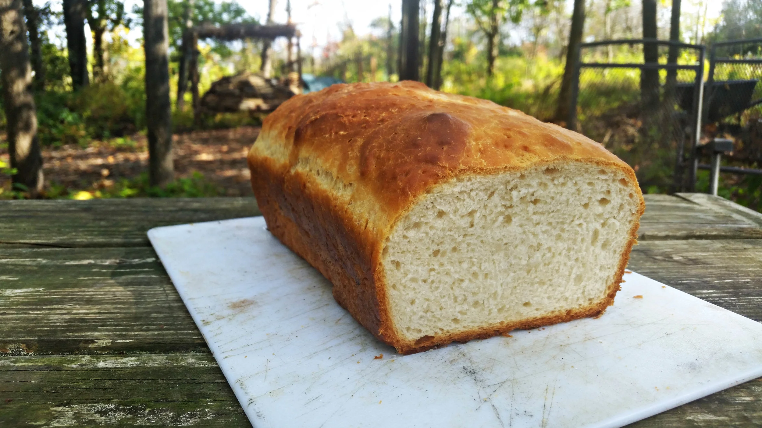Flour, salt, yeast, water.
