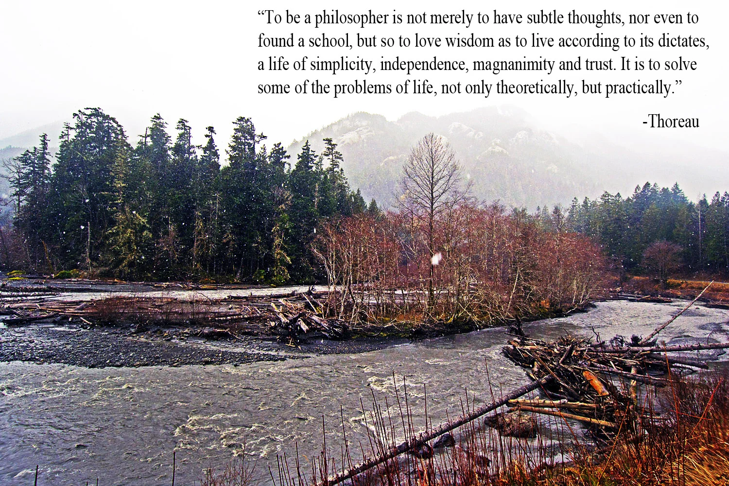 thoreau2.jpg
