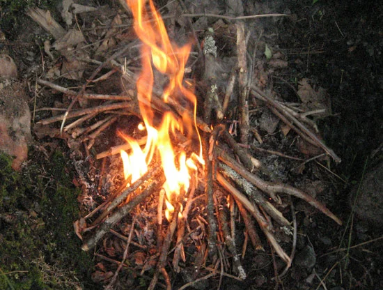 kindling.jpg