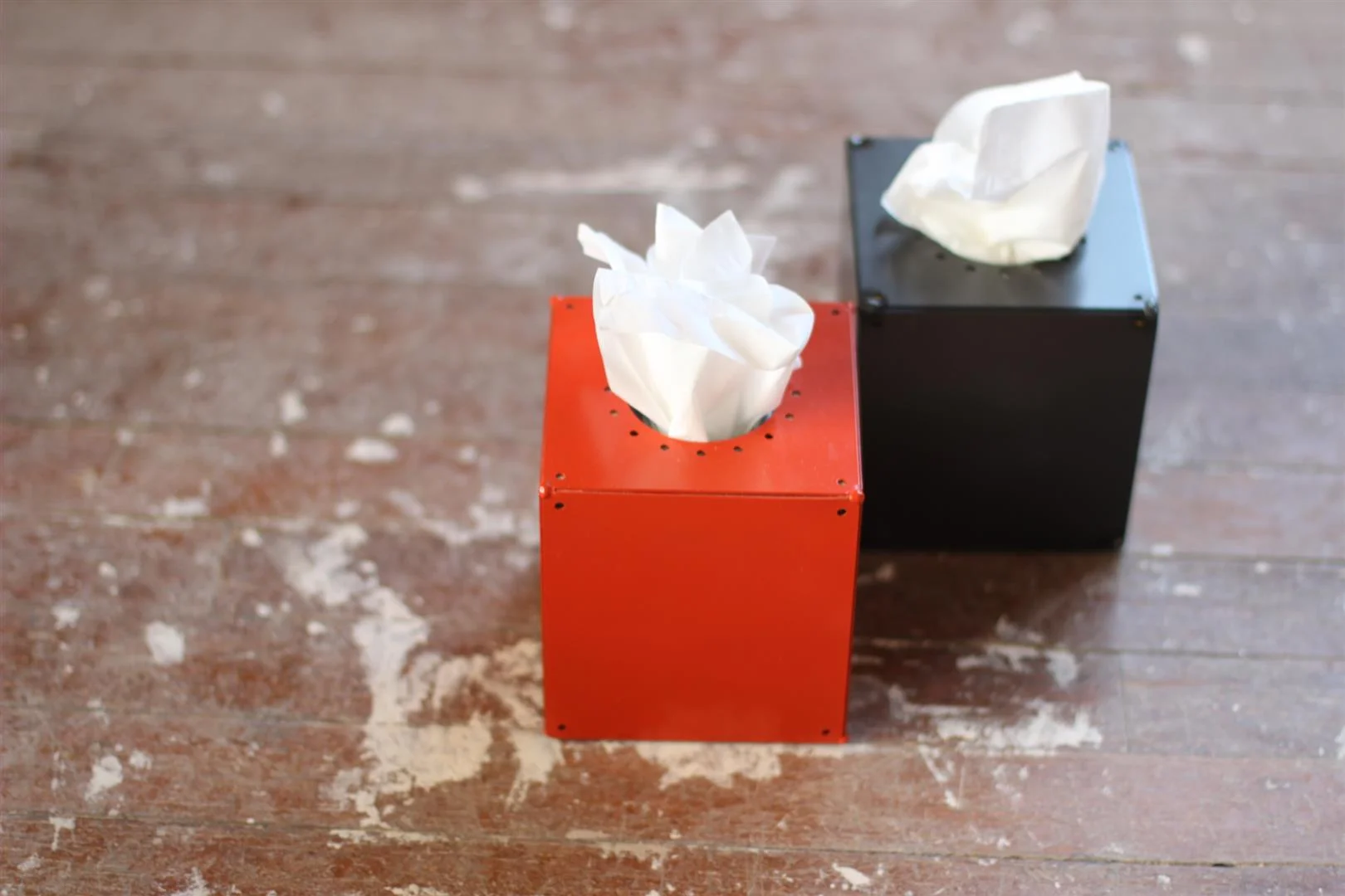 IMG_4839 (Large).JPG