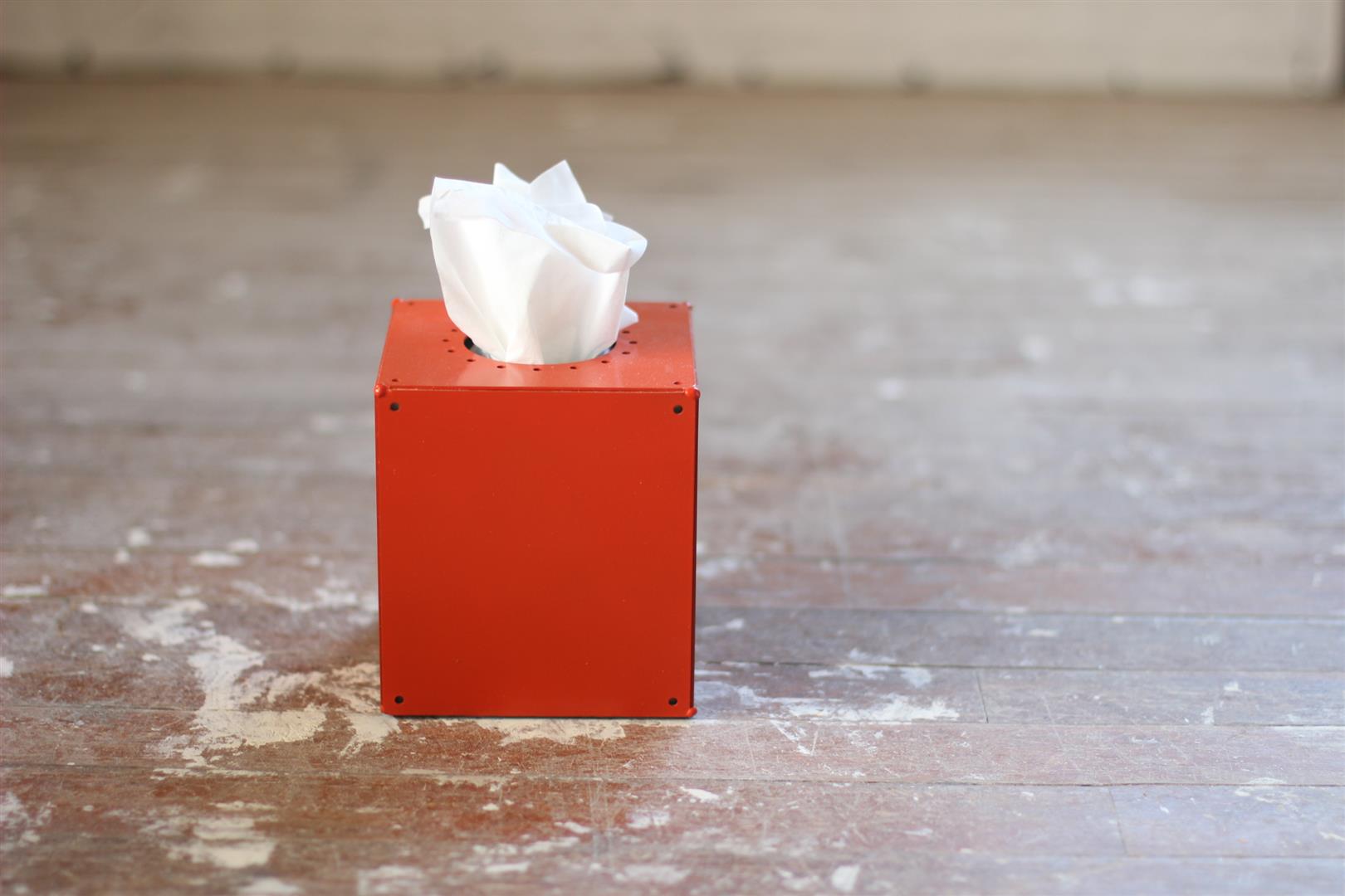 IMG_4845 (Large).JPG