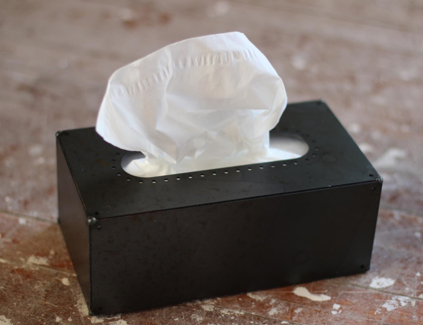 IMG_4826 (Large).JPG