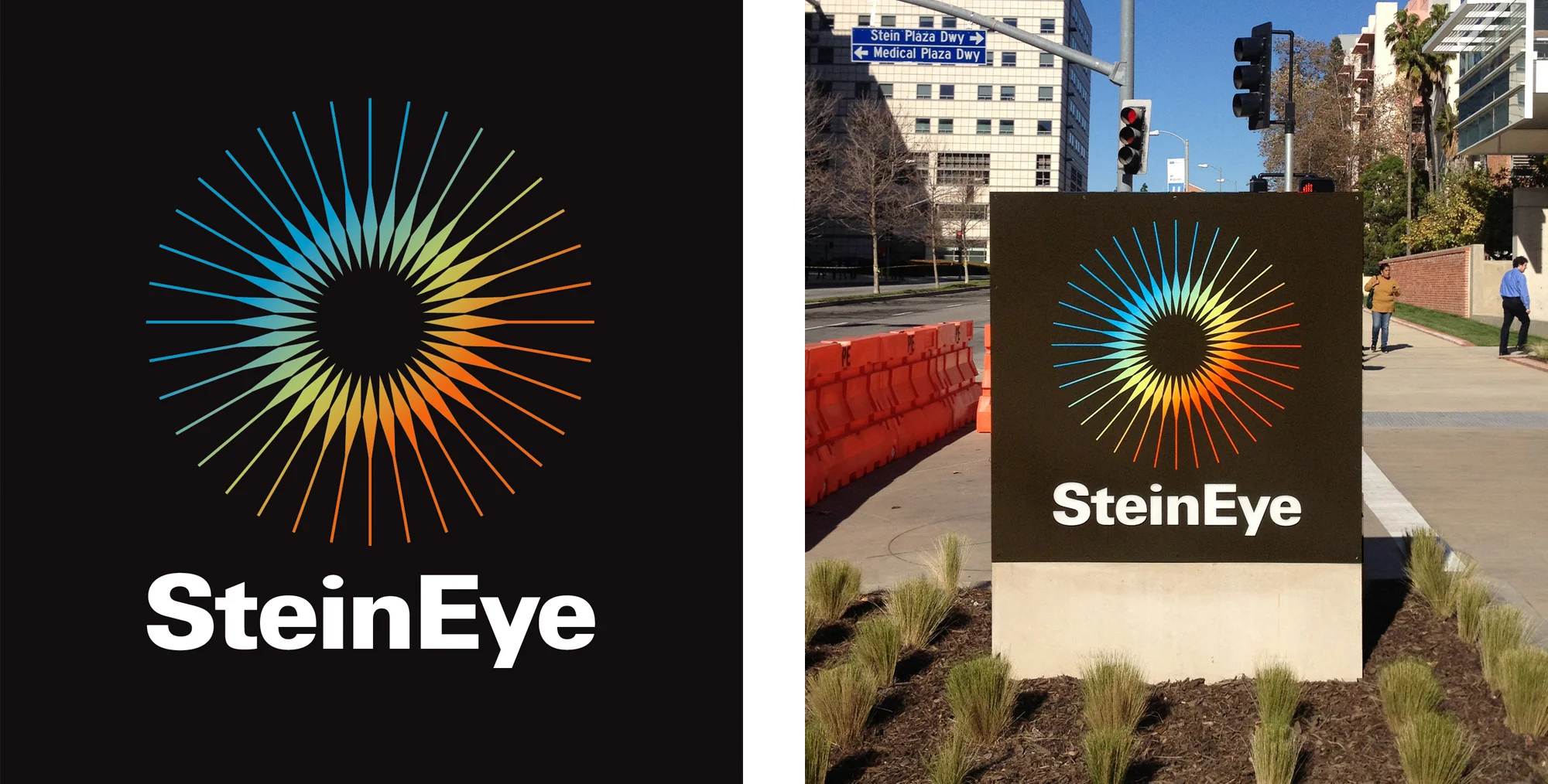 SteinEye_Logo_Sign.jpg
