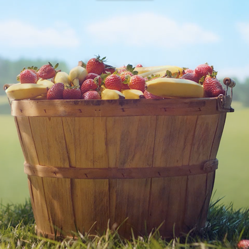 chobani_500x500.png